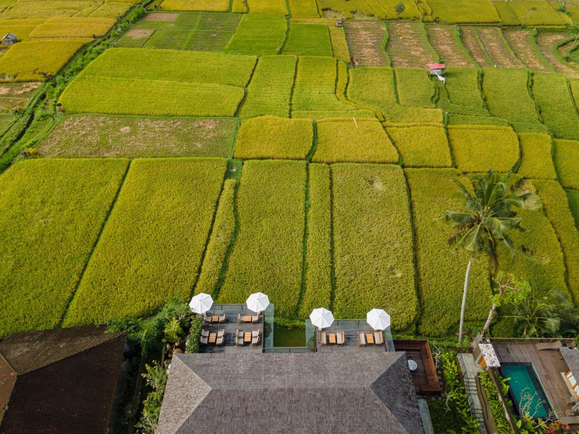 Kappa Senses Ubud Exterior foto